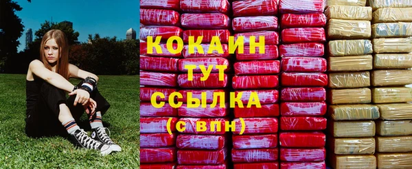 ГАЛЛЮЦИНОГЕННЫЕ ГРИБЫ Гусев