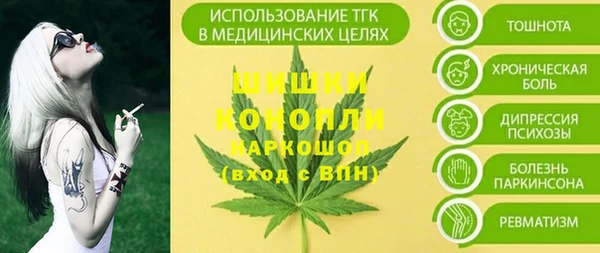 ГАЛЛЮЦИНОГЕННЫЕ ГРИБЫ Гусев