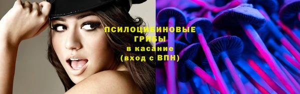 ГАЛЛЮЦИНОГЕННЫЕ ГРИБЫ Гусев