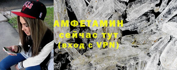 ГАЛЛЮЦИНОГЕННЫЕ ГРИБЫ Гусев