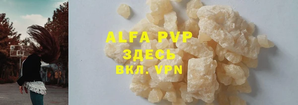 ГАЛЛЮЦИНОГЕННЫЕ ГРИБЫ Гусев
