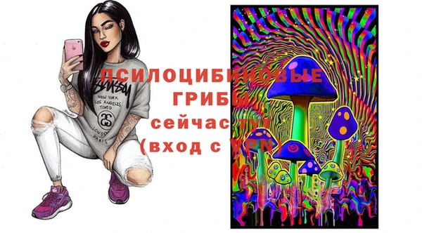 кокаин Гусь-Хрустальный