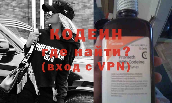 ГАЛЛЮЦИНОГЕННЫЕ ГРИБЫ Гусев