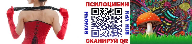 Купить  Бахчисарай  Псилоцибиновые грибы GOLDEN TEACHER 